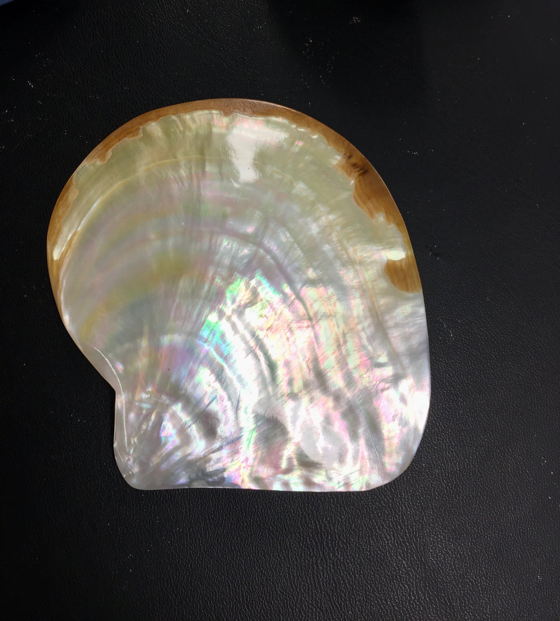 Jewelry(accessaries) trays x Keshi pearl shell